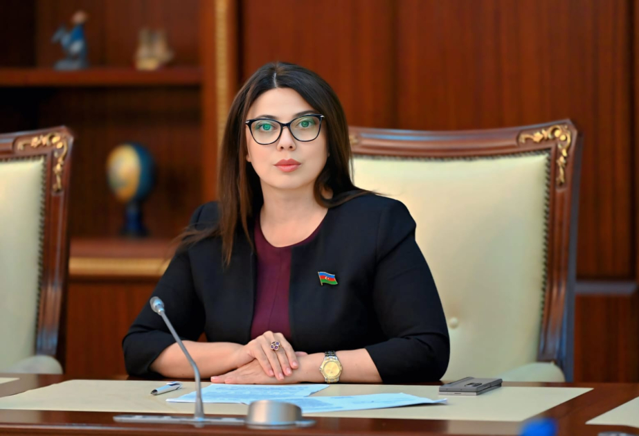 Prezidentin səsləndirdiyi fikirlər elmi mühit üçün bir çağırış, bir istiqamətverici mesaj idi  ŞƏRH