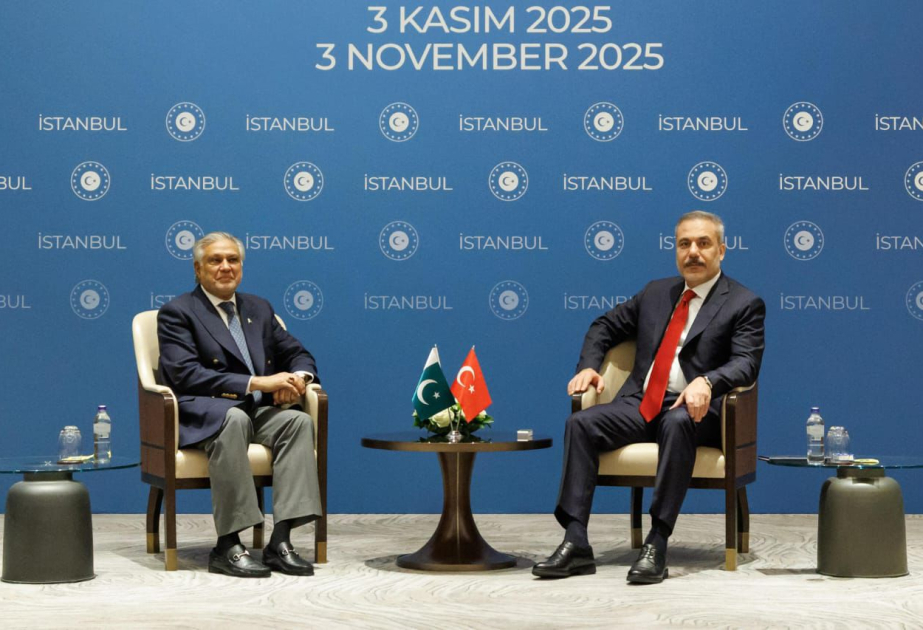 Türkiye and Pakistan agree to maintain close coordination on regional and international issues