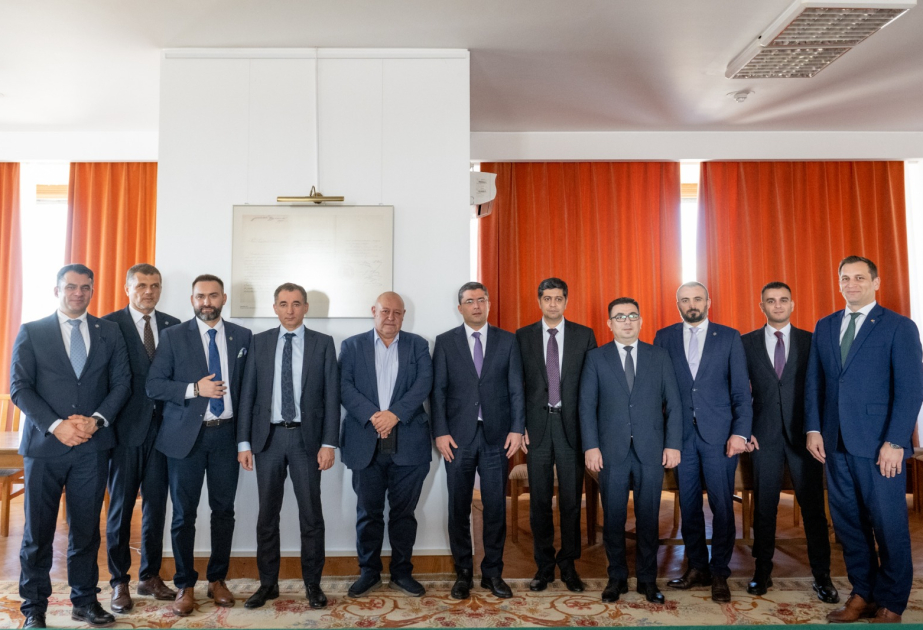 Rumıniyalı senatorlar Azərbaycanda medianın inkişafı sahəsində görülən tədbirlər barədə məlumatlandırılıb