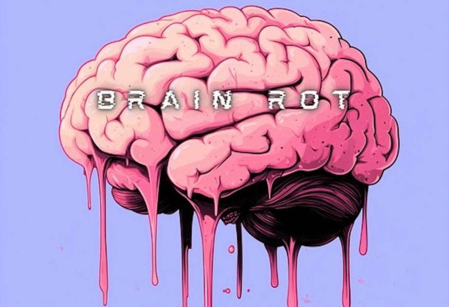 Брейн-рот - как не потерять способность думать глубоко