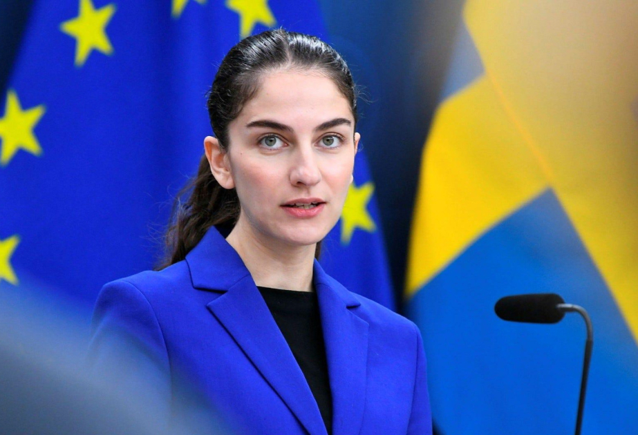 Стокгольм не отправит министра на климатический саммит в Бразилию