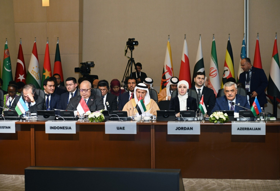 El Viceministro de Economía participa en la reunión del Comité Permanente de la OCI