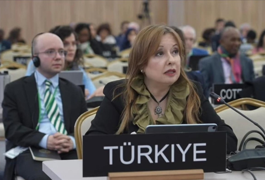 Gülnur Aybet: UNESCO-nun Ümumdünya Türk Dili Ailəsi Gününü təsis etməsi xalqlar arasında dialoqa töhfədir