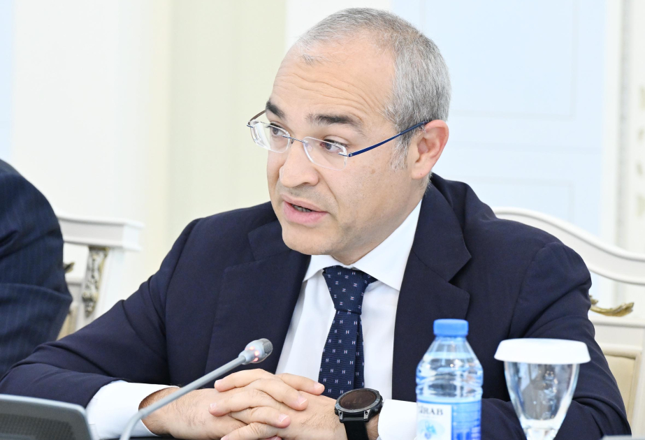 Mikayil Jabbarov: Azerbaijan is currently continuing its efforts aimed at diversifying the national economy