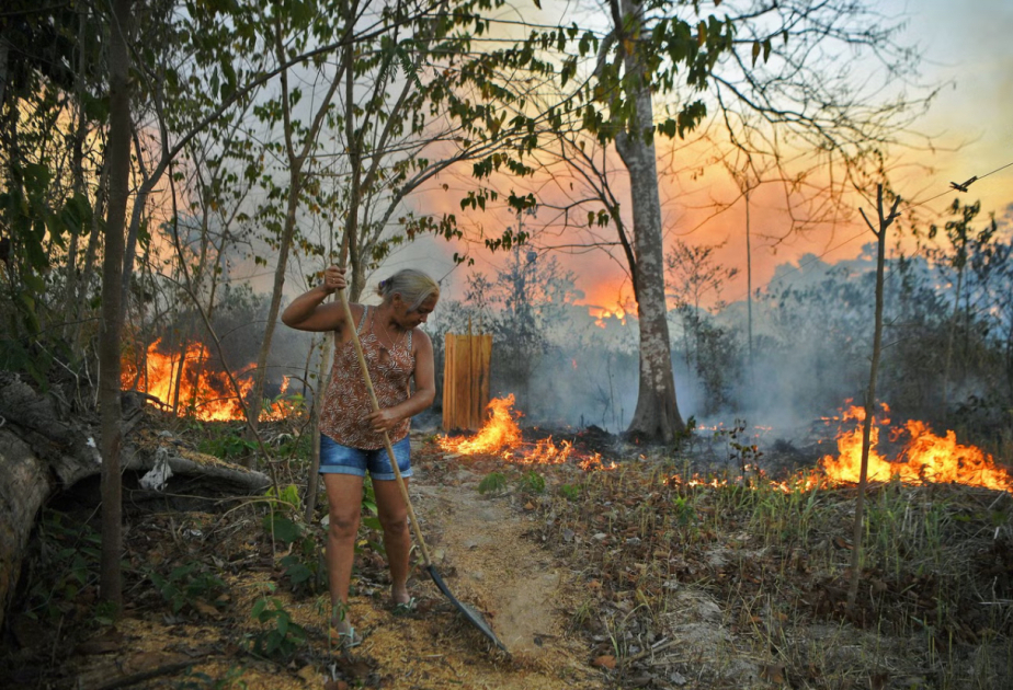 Air pollution in Amazon rainforest worse than big cities like London and Beijing, new data shows