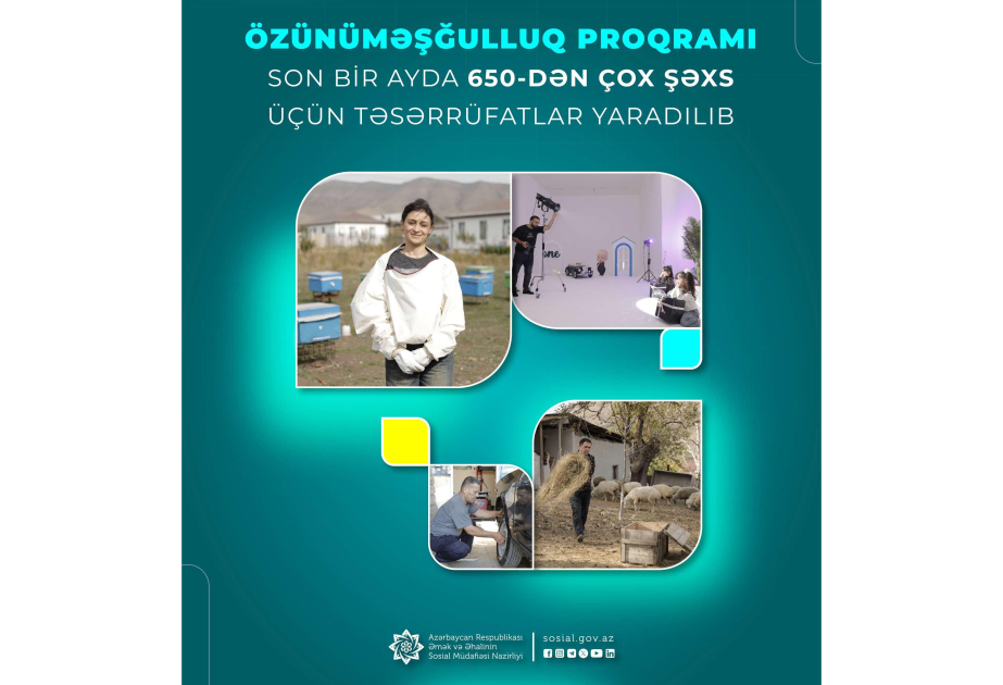 Özünüməşğulluq proqramı üzrə son bir ayda 650-dən çox şəxs üçün təsərrüfatlar yaradılıb