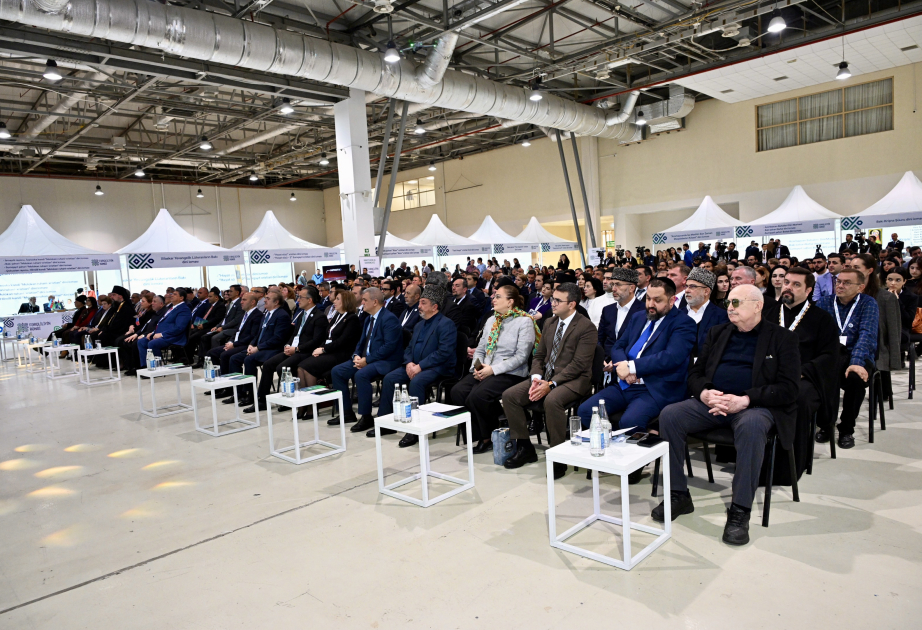 В Баку состоялся фестиваль «Цвет различий»  ОБНОВЛЕНО ВИДЕО