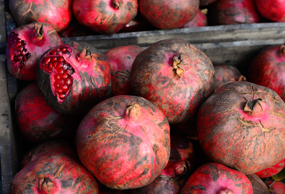 Falta poco para el Festival de la Granada… Reportaje desde Goychay