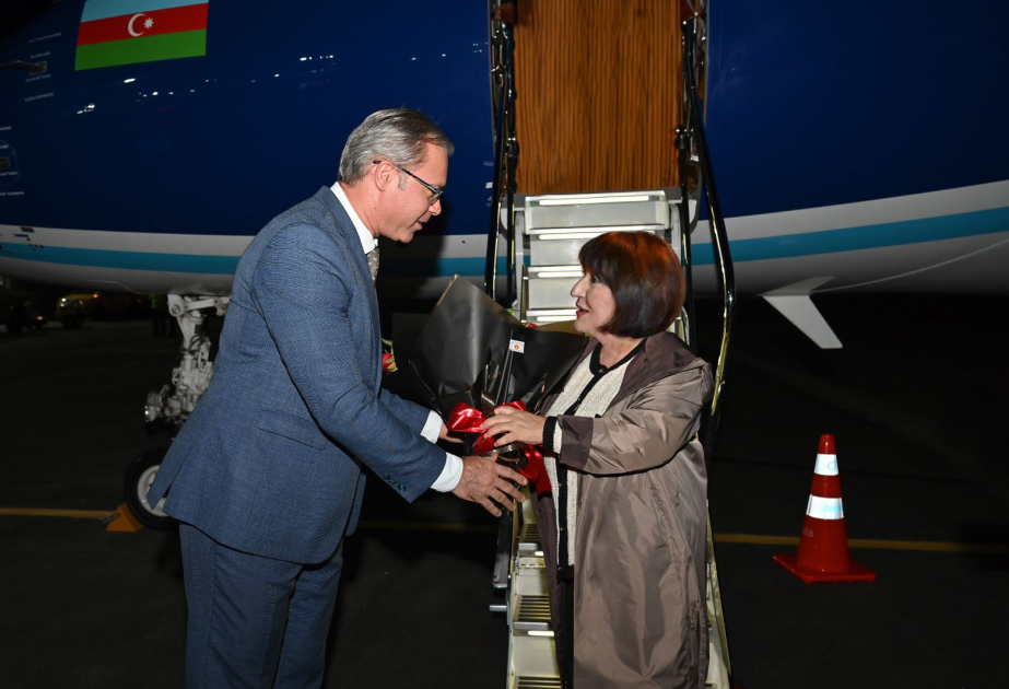 Azerbaijani Parliamentary Speaker arrives in Brazil for COP30