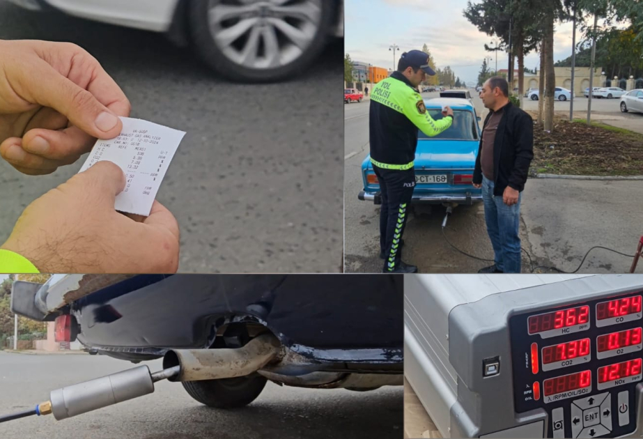 Biləsuvarda “Təmiz hava” aylığı ilə bağlı tədbirlər keçirilib