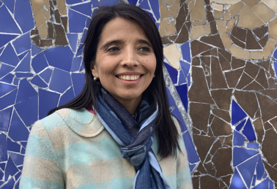 Mayami Universitetinin eksperti: “Azərbaycan yaşıl enerji dəhlizləri vasitəsilə beynəlxalq əməkdaşlığı təşviq edə bilər” - MÜSAHİBƏ