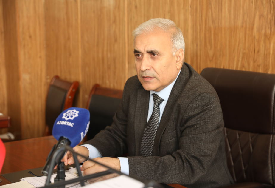Professor: Gənc tədqiqatçılar süni intellekt vasitəsilə türk dillərinin korpuslarını yarada bilərlər