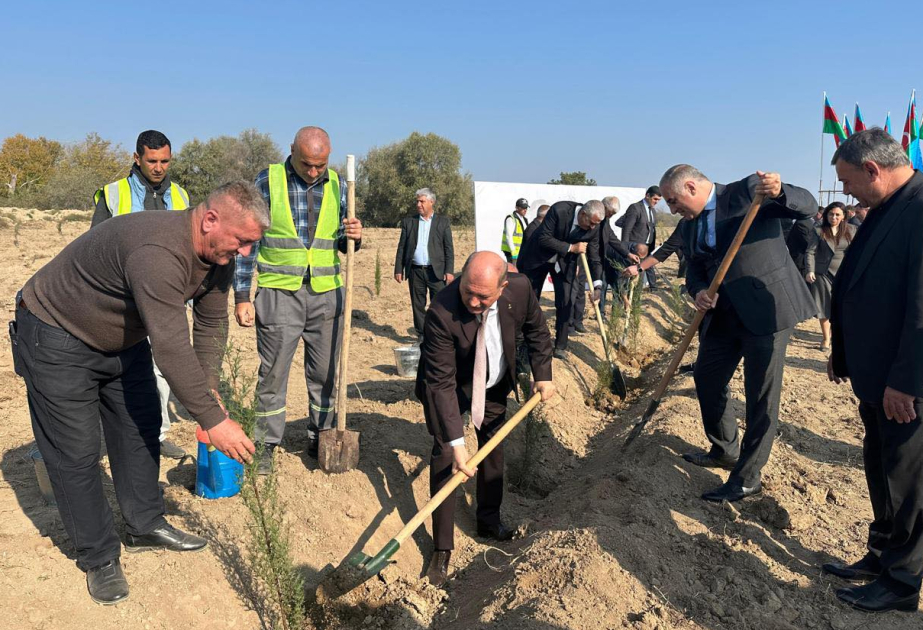 Ağdam və Beyləqanda ağacəkmə aksiyaları keçirilib