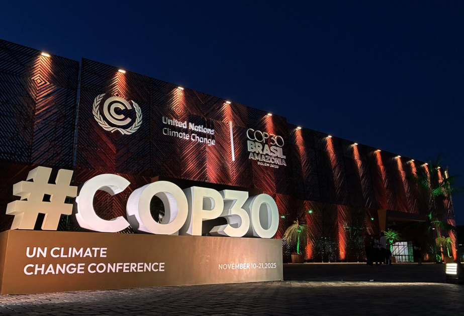 Brazilian President: COPs cannot be mere showcases of good ideas or annual gatherings for negotiators - EXCLUSIVE