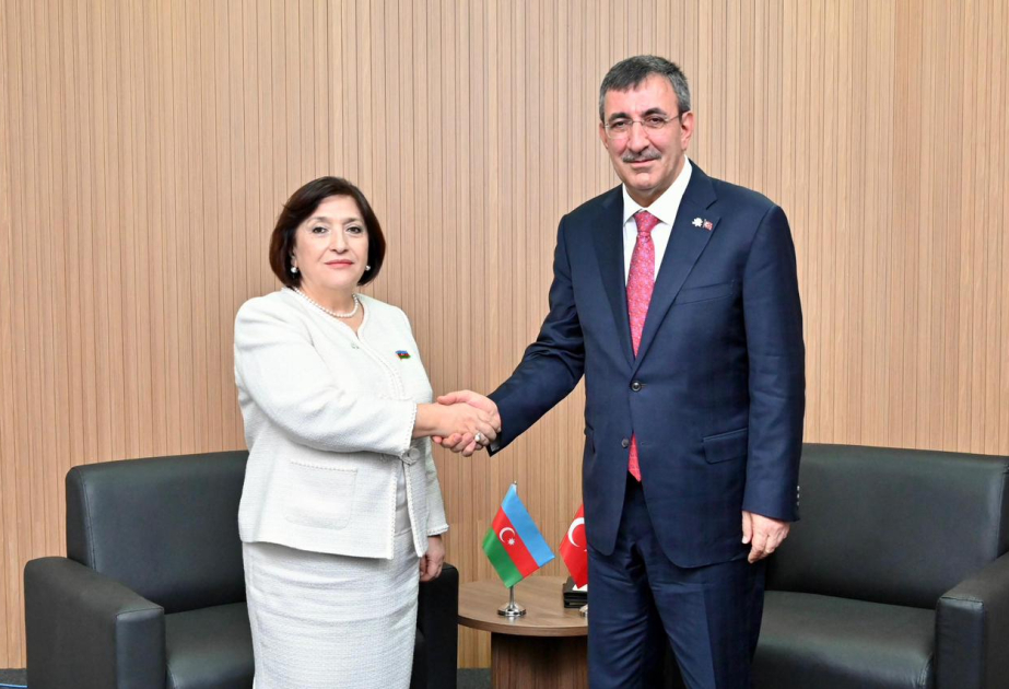 Milli Məclisin sədri Türkiyə Respublikasının Vitse-prezidenti ilə görüşüb