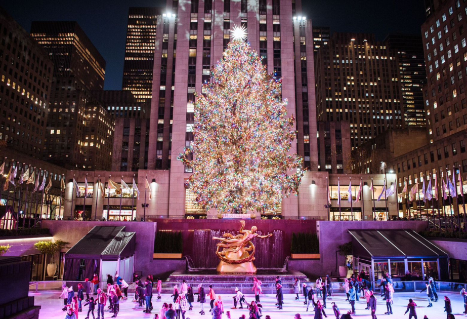 Rockefeller Christmas tree is harvested from upstate New York and begins trek to Manhattan