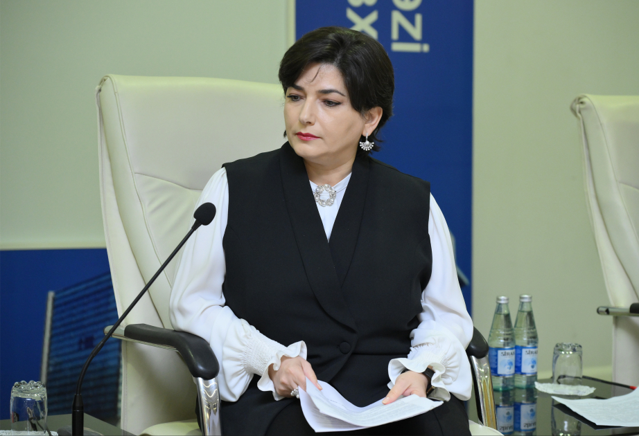 Mətbuat Şurası sədrinin müavini: Hazırda internet dilində danışan bir nəsillə üz-üzəyik