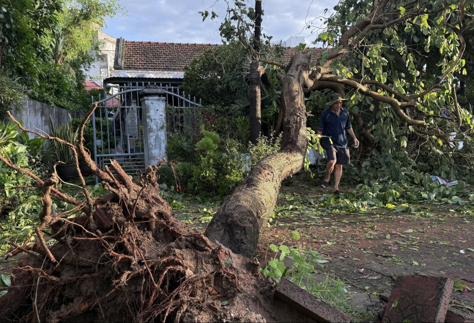 Tropischer Wirbelsturm: Taifun "Kalmaegi" zieht durch Vietnam - 188 Tote auf den Philippinen