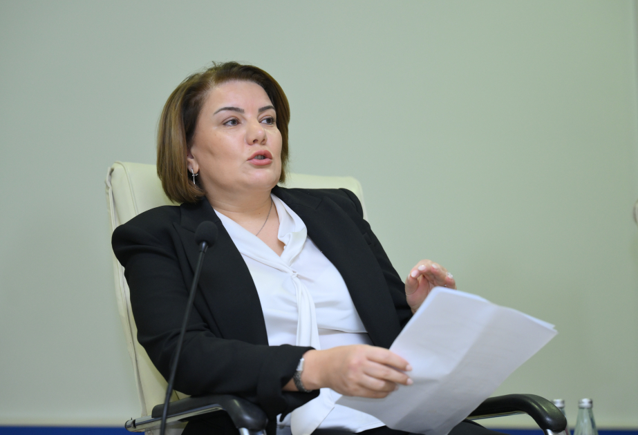 Vüsalə Mahirqızı: Azərbaycan dili üçün imla və üslub səhvlərini yoxlayan sistemin yaradılmasına ehtiyac var