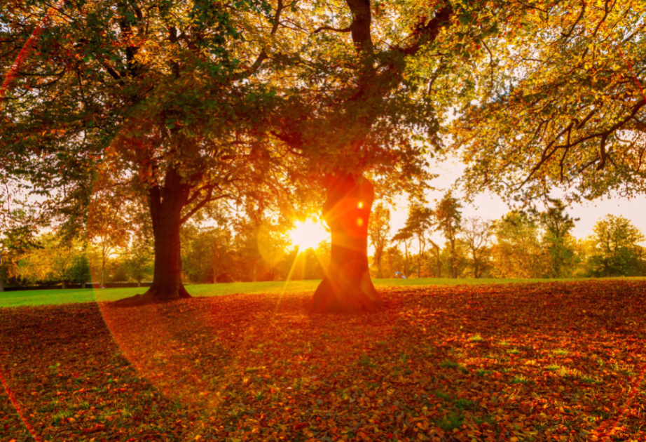 Завтра погода будет преимущественно без осадков