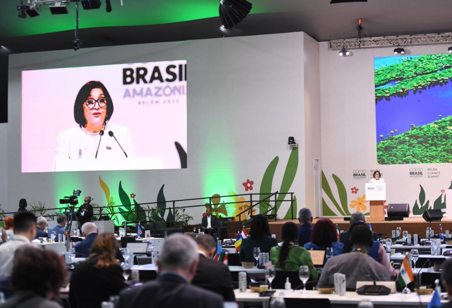 Speaker Sahiba Gafarova: Azerbaijan led by President Ilham Aliyev delivered one of most successful COPs