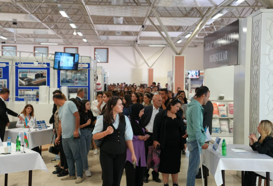 На сегодняшний день около 19 тысяч молодых людей создали собственные небольшие семейные хозяйства с программой самозанятости