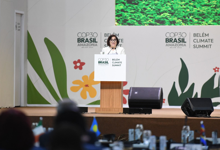 Sahiba Gafarova: Azerbaijan fully supports COP30 Presidency’s Implementation COP vision