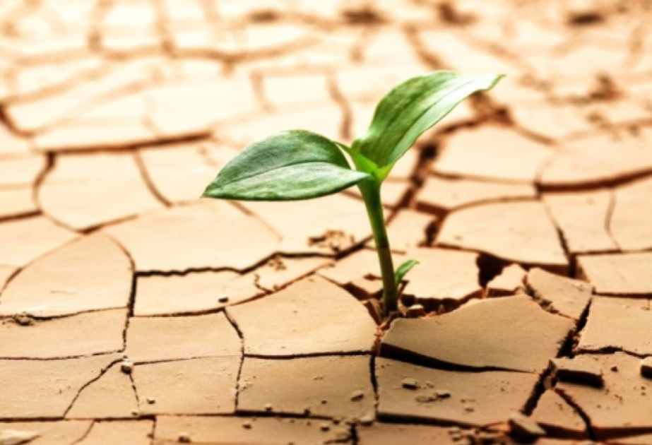 Climat : 2025 devrait figurer parmi les trois années les plus chaudes jamais enregistrées