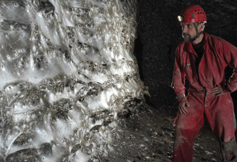 Forscher finden größtes bekanntes Spinnennetz der Welt