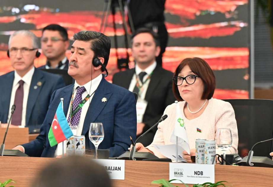Speaker of Azerbaijan’s Milli Majlis addresses COP30 thematic session on Energy Transition