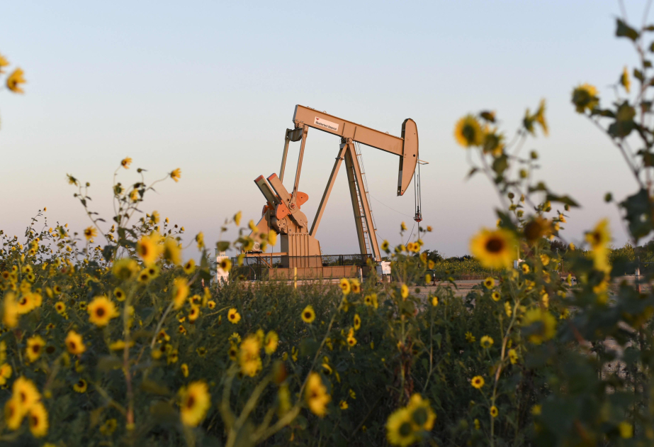 Oil prices surge in global markets