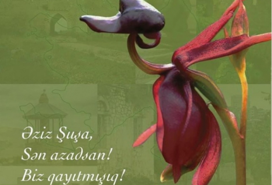 Vətən müharibəsinin xronikası: 8 noyabr