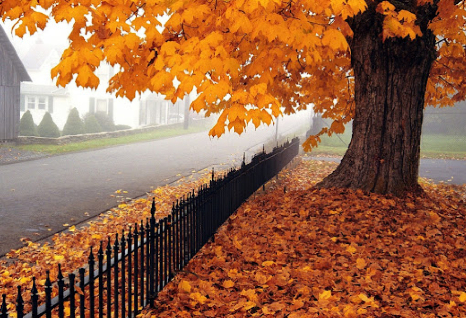 Прогноз погоды на воскресенье: в основном без осадков, местами – туман