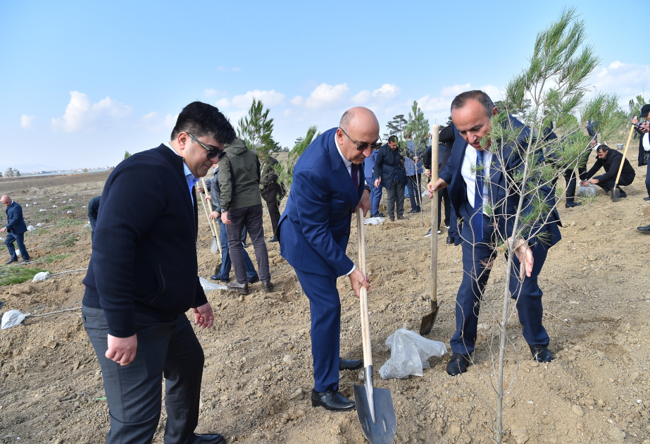 ADSEA Zəfər Günü münasibətilə ağacəkmə aksiyası keçirib