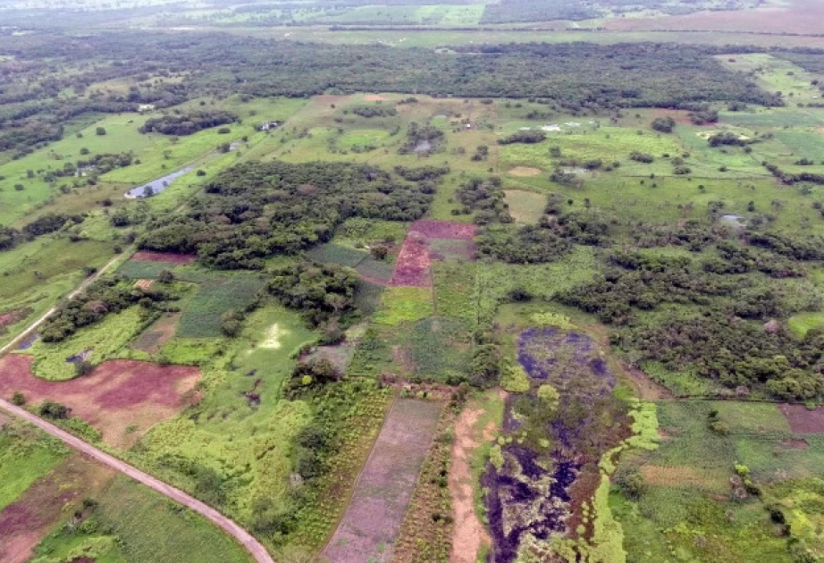 Oldest known Maya monument could be a map of the universe