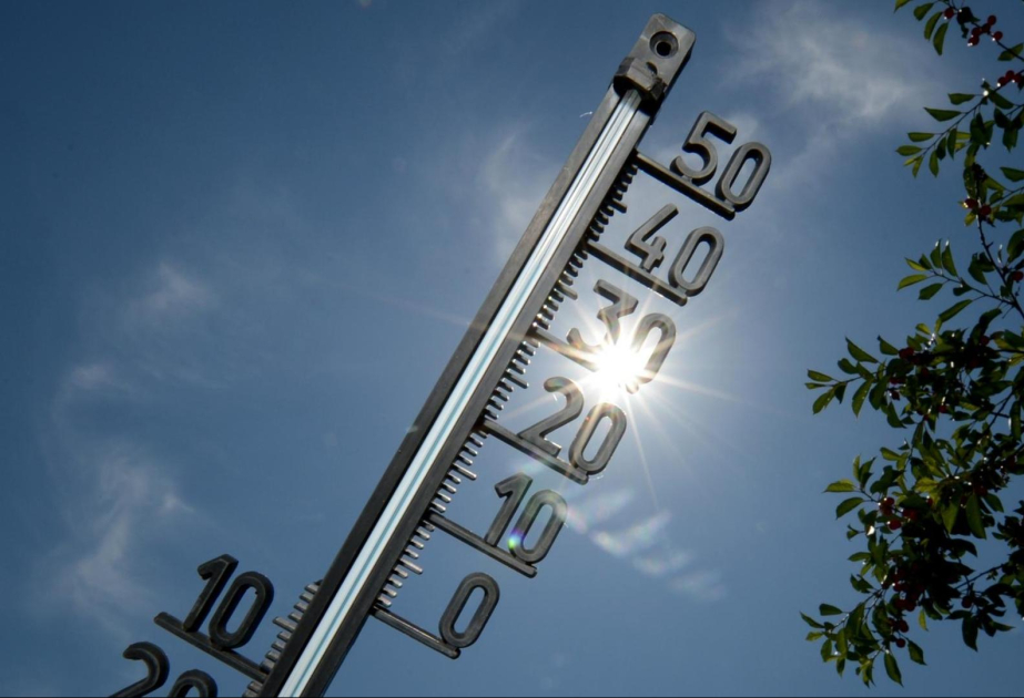 Brasilien: 30. UNO-Klimakonferenz beginnt in Belém