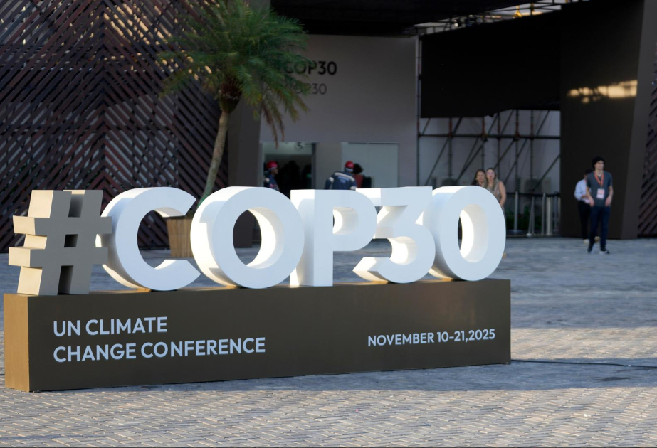 COP30 Klimakonferenz in Brasilien: Das sind die wichtigsten Themen