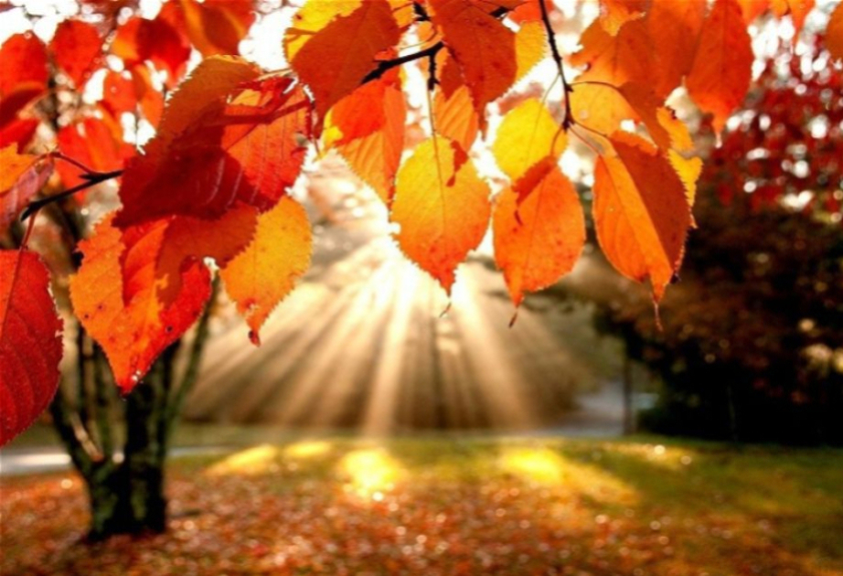 Завтра погода будет преимущественно без осадков