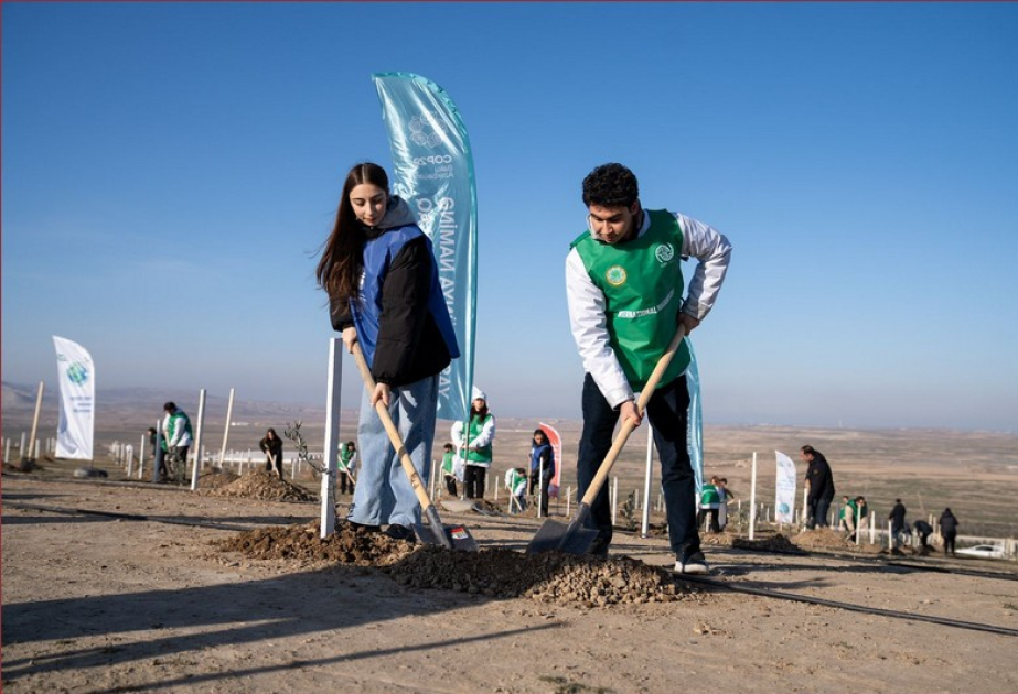 В рамках акции «Дыхание будущему!» будет посажено 111 111 деревьев
