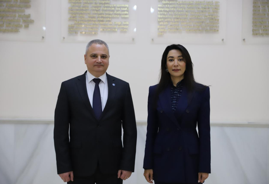 Azerbaijan's Ombudsman meets with President of European Network of the Ombudspersons for Children