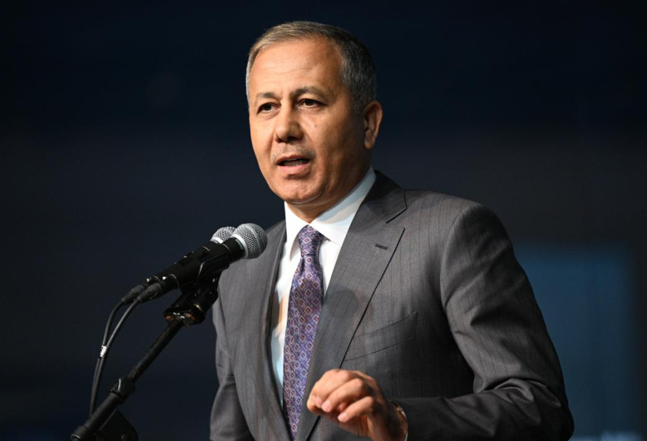 Interior ministers of Türkiye and Georgia discuss plane crash