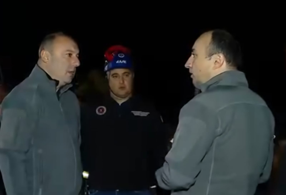 Gürcüstanın daxili işlər naziri təyyarə qəzası baş verən əraziyə gedib