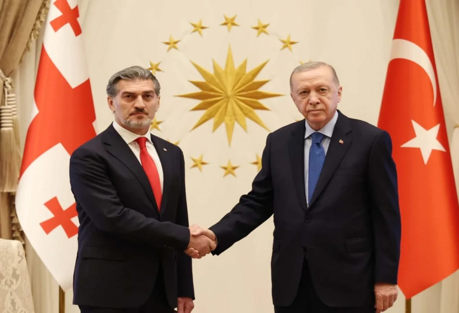 Gürcüstan Prezidenti təyyarə qəzası ilə əlaqədar Prezident Rəcəb Tayyib Ərdoğana başsağlığı verib
