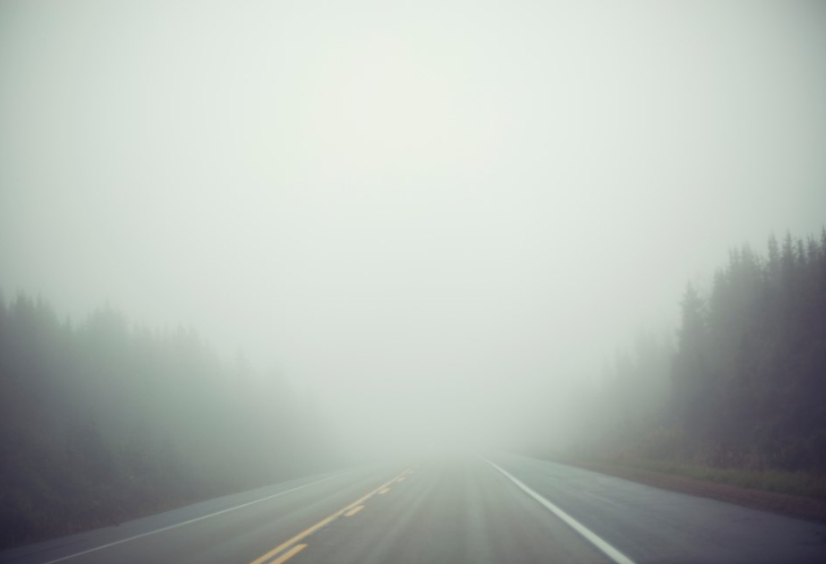 Туманная погода сохранится до 15 ноября