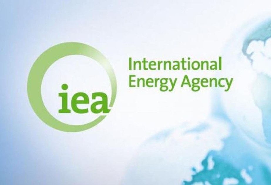 МЭА прогнозирует рост мирового спроса на нефть и газ до 2050 года