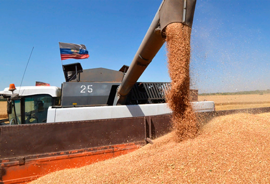 ТАСС: Армения из политических соображений хочет отказаться от зерна из России