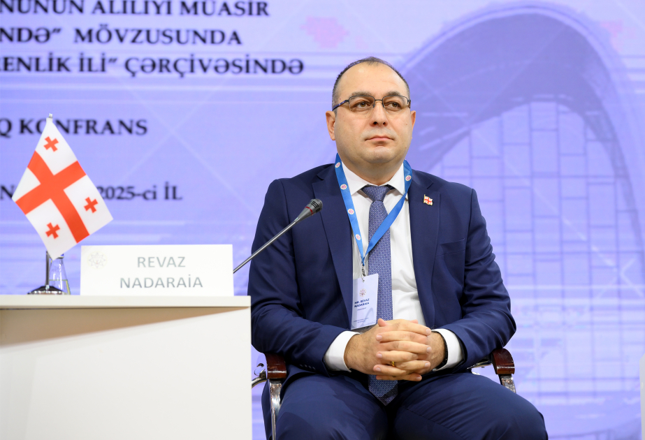 Revaz Nadaraya: Gürcüstan və Azərbaycan Konstitusiya məhkəmələri arasında güclü əməkdaşlıq ənənəsi yaranıb VİDEO