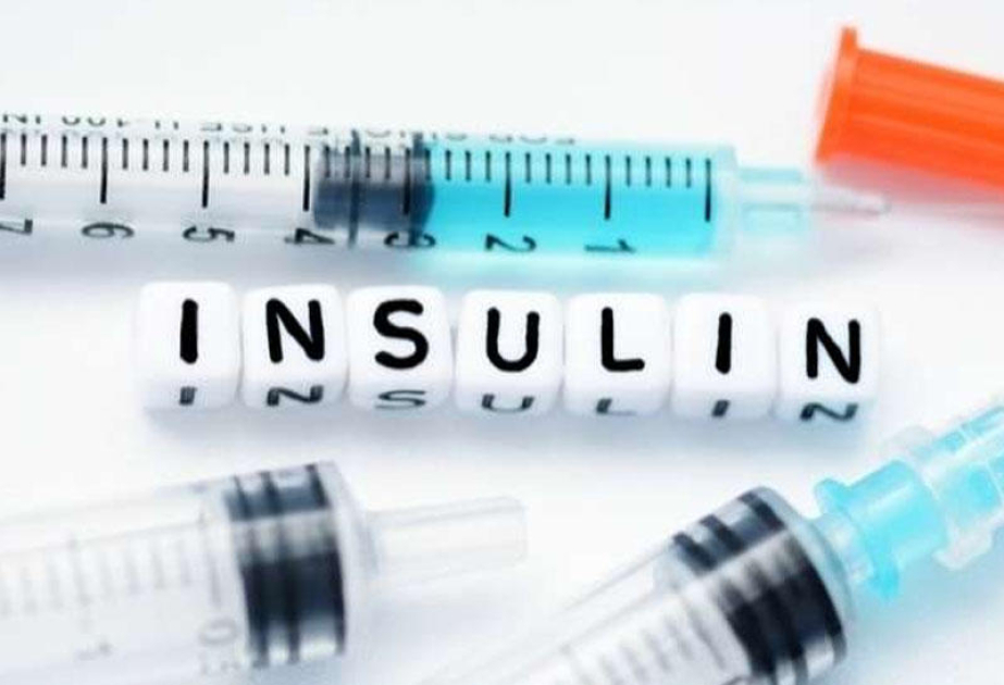 "Factory" in cells found to prevent insulin abnormalities