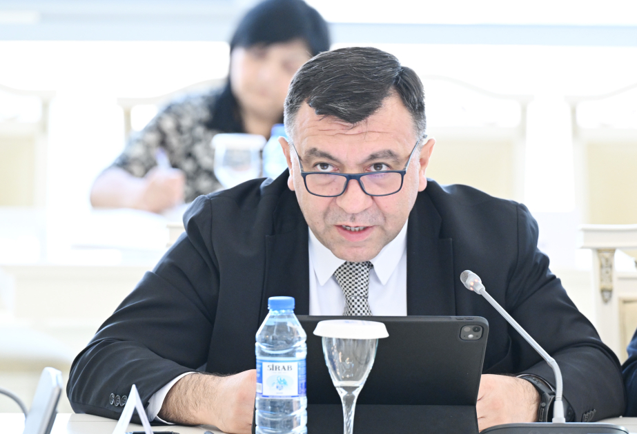 Nazir müavini: Gələn il üzrə proqnozlaşdırılan büdcə gəlirlərinin 57 faizi qeyri-neft-qaz sektorunun payına düşür