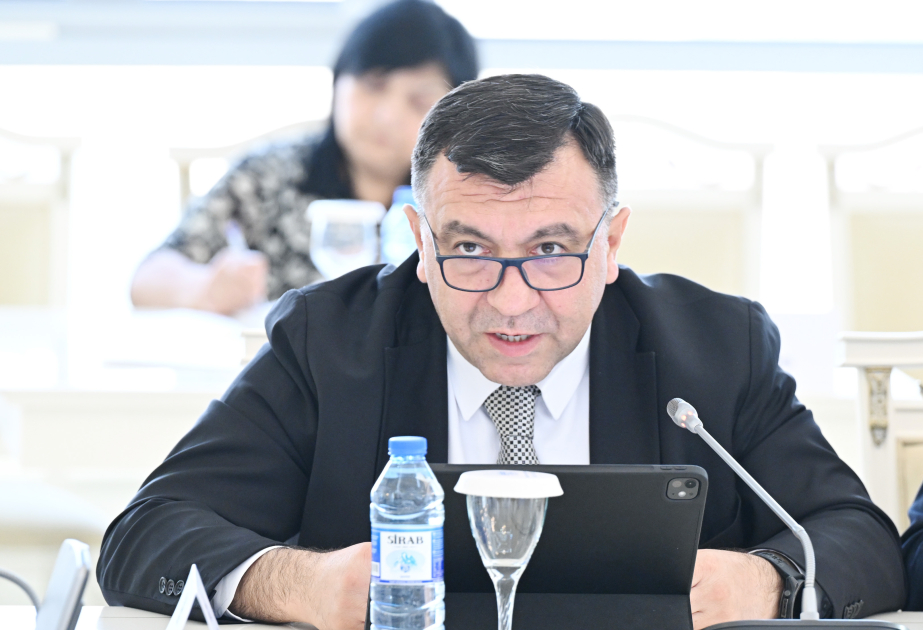 Nazir müavini: Bu ilin altı ayı ərzində ölkəyə yatırılmış birbaşa xarici investisiyaların həcmi 8,2 faiz artıb